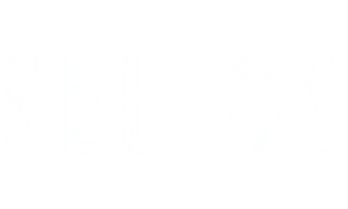 seltoy.png